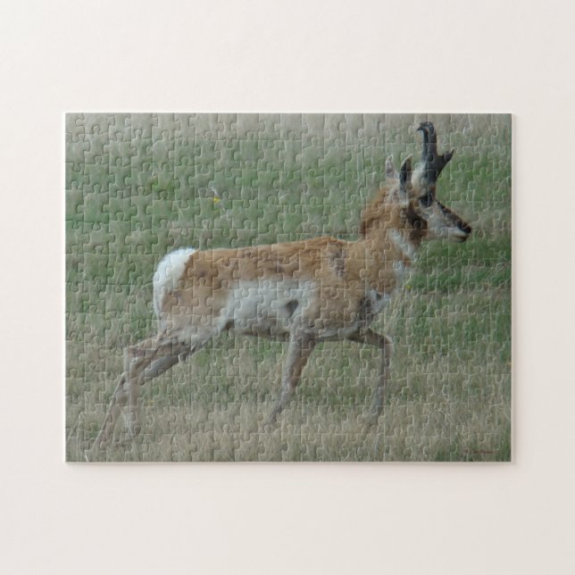 A32 Pronghorn Antelope Pussel (Horisontell)
