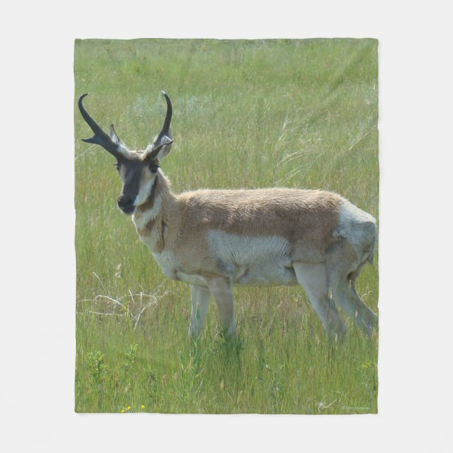 A36 GaffelAntilop Bock Fleecefilt (Framsidan)