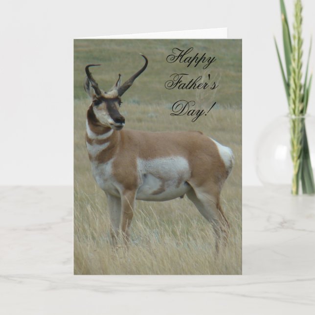 A37 Pronghorn Antelope Big Buck Croked Horns Kort (Framsida)