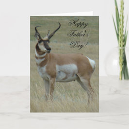 A37 Pronghorn Antelope Big Buck Croked Horns Kort