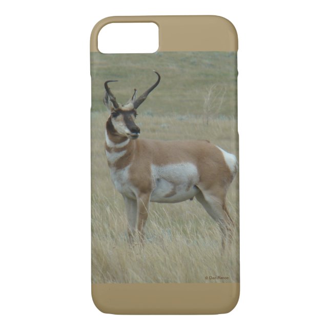 A37 Pronghorn Antelope Crooking Horns Case-Mate iPhone Skal (Baksida)
