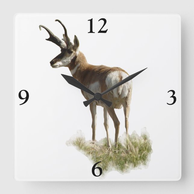 A43 Gaffelantilopbuck Fyrkantig Klocka (Framsida)