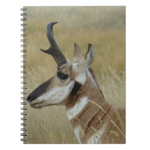 A4 Gaffelantilop Ung Bocks Profilbild Anteckningsbok