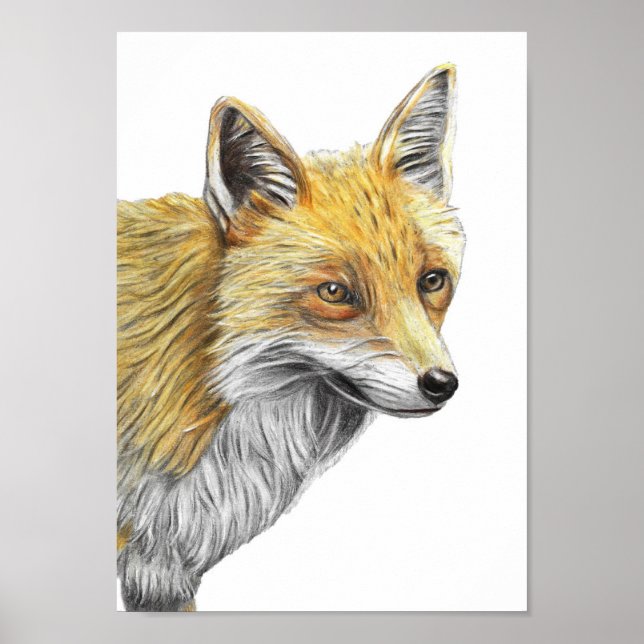 A4 Red Fox Pencil Teckning Skriv ut Poster (Framsidan)
