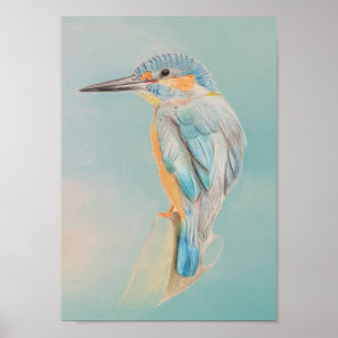 A4 Vackert Teckning med Kingfisher Poster