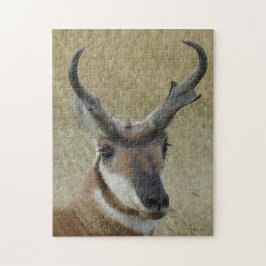 A5 Pronghorn Antelope Head Shot Pussel