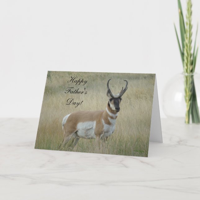 A8 Pronghorn Antelope Big Buck Kort (Framsida)