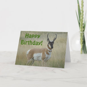 A8 Pronghorn Antelope Big Buck Kort