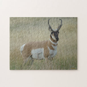 A8 Pronghorn Antelope Big Buck Pussel