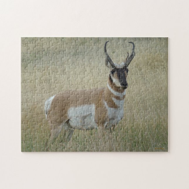 A8 Pronghorn Antelope Big Buck Pussel (Horisontell)