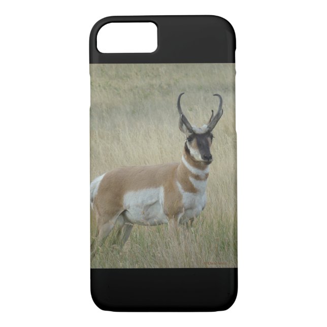 A8 Pronghorn Antelope Buck Case-Mate iPhone Skal (Baksida)