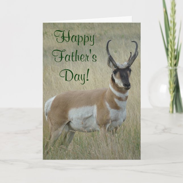 A9 Pronghorn Antelope Big Buck Kort (Framsida)