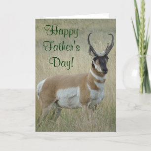 A9 Pronghorn Antelope Big Buck Kort