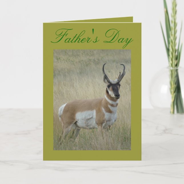 A9 Pronghorn Antelope Big Buck Kort (Framsida)