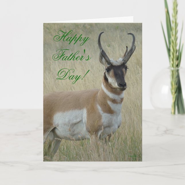 A9 Pronghorn Antelope Big Buck Kort (Framsida)
