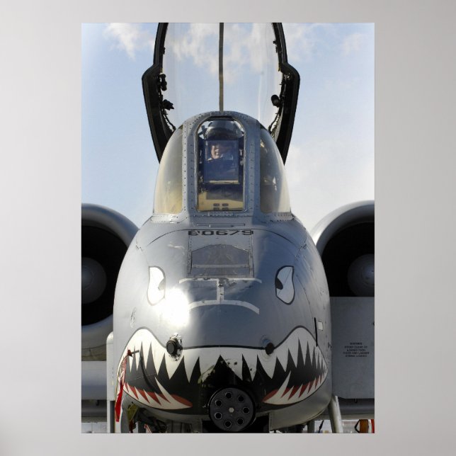 A-10 Thunderbolt II-flygplan Poster (Framsidan)
