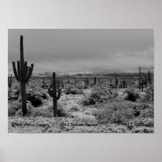 A 1 Print Snö i Desert Nature Series 2012 Poster