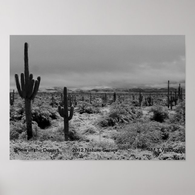 A 1 Print Snö i Desert Nature Series 2012 Poster (Framsidan)
