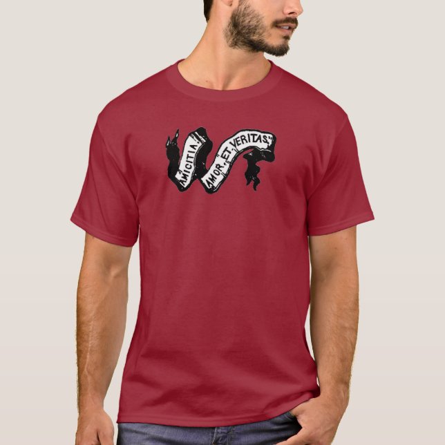 A.A.V. - udda gult T Shirt (Framsida)