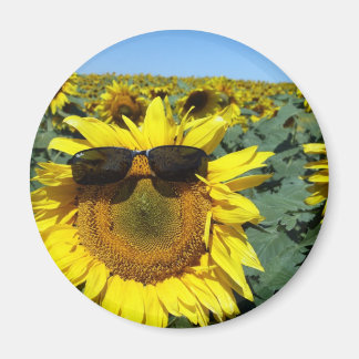 A Ansikte i folkgruppen Magnet