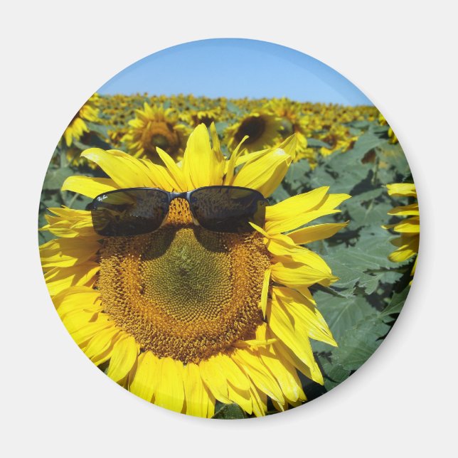 A Ansikte i folkgruppen Magnet (Framsidan)