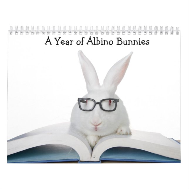 A År Albino Bunnies Kalender (Omslag)