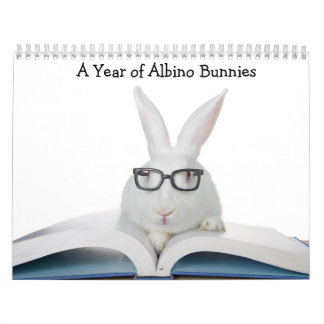A År Albino Bunnies Kalender