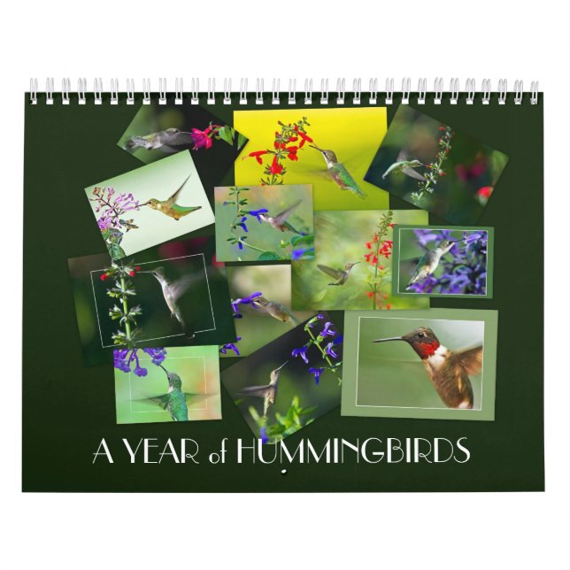 A År för Hummingbird Kalender (Omslag)