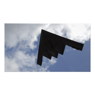 A B-2-anda under flygning Fototryck