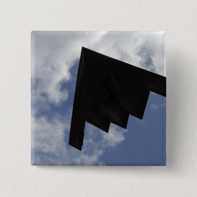 A B-2-anda under flygning Knapp (Framsida)