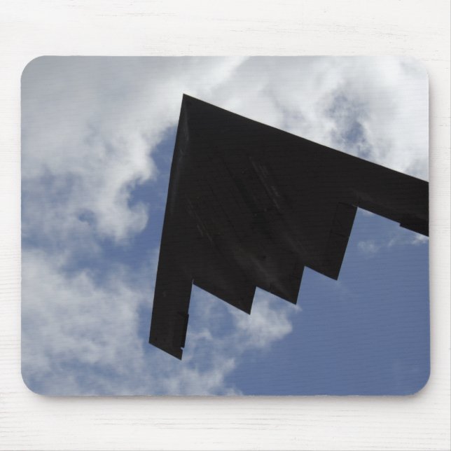 A B-2-anda under flygning Musmatta (Framsidan)