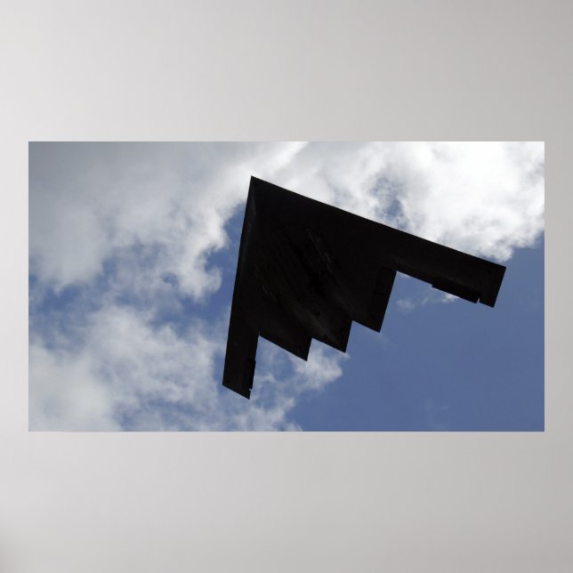 A B-2-anda under flygning Poster (Framsidan)