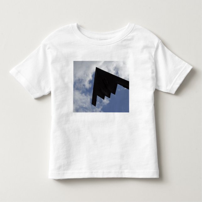 A B-2-anda under flygning T-shirt (Framsida)