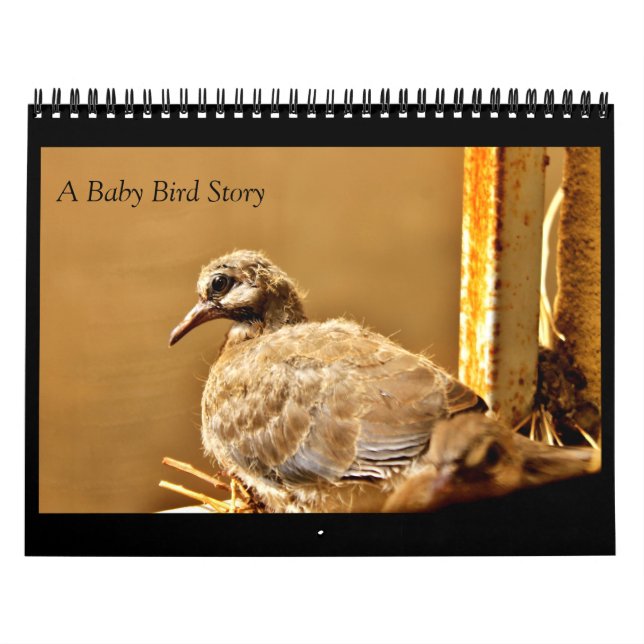 A Baby Bird Story Kalender (Omslag)