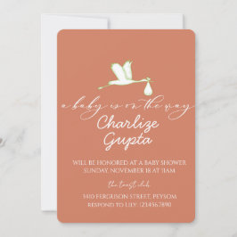 A Baby Is on the Way Baby Shower  Inbjudningar