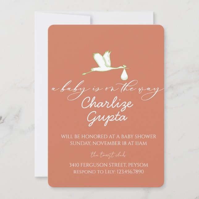 A Baby Is on the Way Baby Shower  Inbjudningar (Framsida)