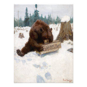 A Bear Chance av Philip Russell Goodwin Fototryck