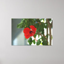 A beautiful bridal bouquet poster canvastryck