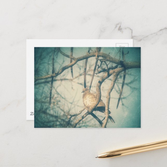 A beautiful Dove Vykort (Fram/Back In Situ)