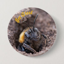 A bee on a badge
