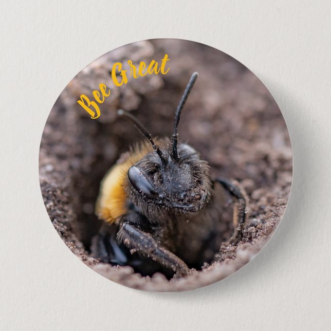 A bee on a badge knapp (Framsida)