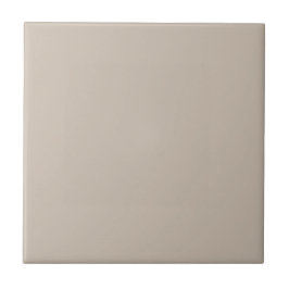 A Beige Bungalow Square Kitchen and Bathroom Kakelplatta