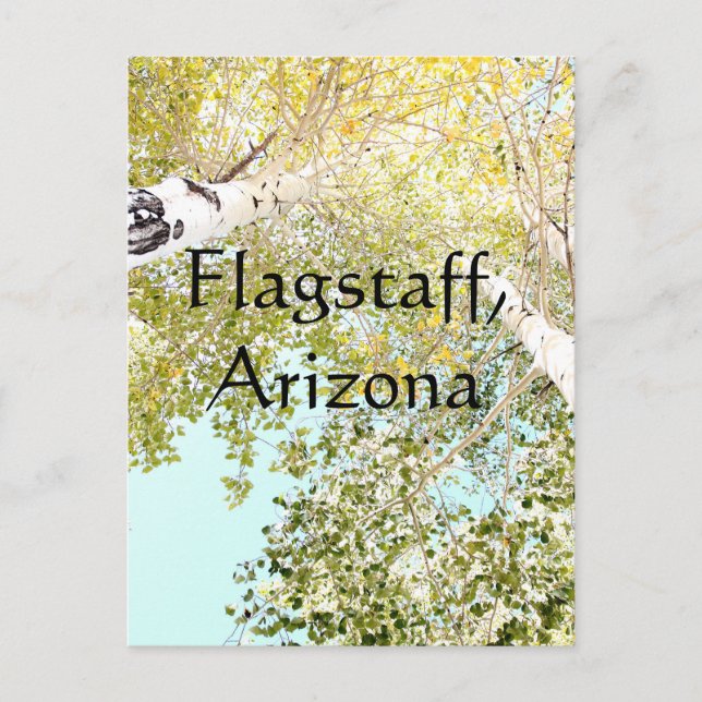 A biet i himlar, Flagstaff, Arizona Vykort (Framsida)