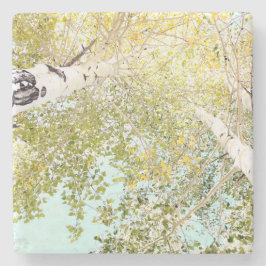 A BIET i HIMLAR Underlägg Sten