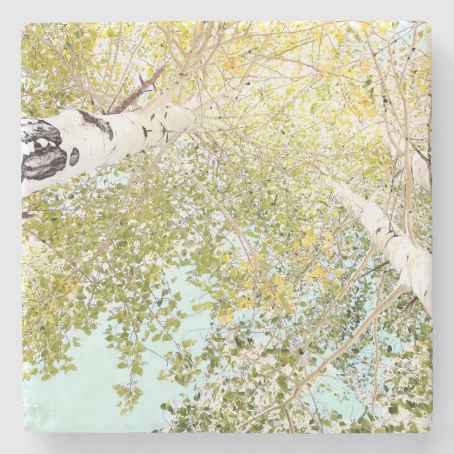 A BIET i HIMLAR Underlägg Sten (Framsidan)