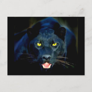 A Black Panther Vykort