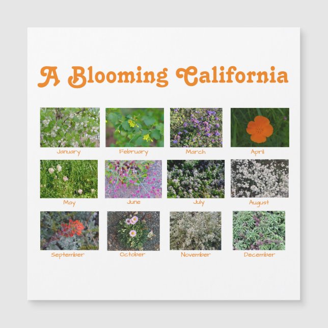 A Blooming California (Framsida)