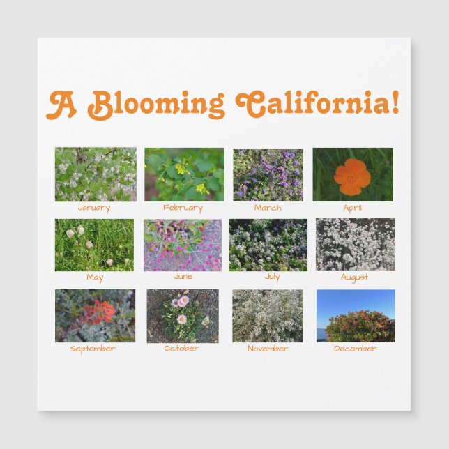 A Blooming California (Framsida)