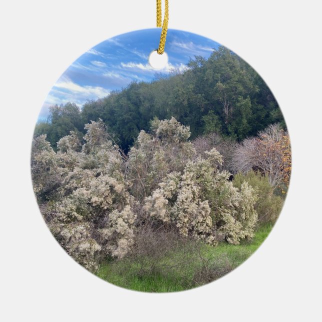 A Blooming California: A Blooming California Cele Julgransprydnad Keramik (Framsidan)