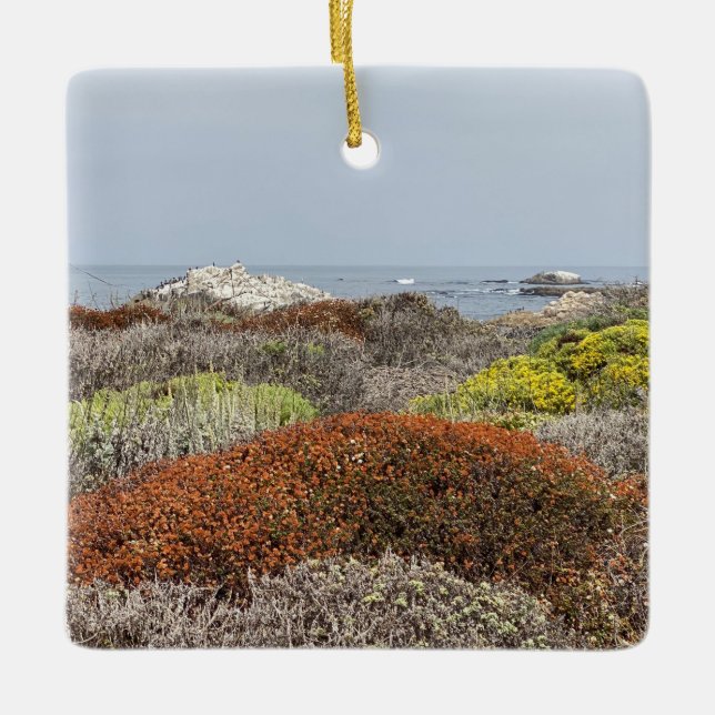 A Blooming California: Asilomar State Beach Julgransprydnad Keramik (Framsida)